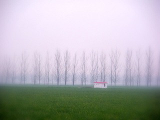 DSCN3136.JPG