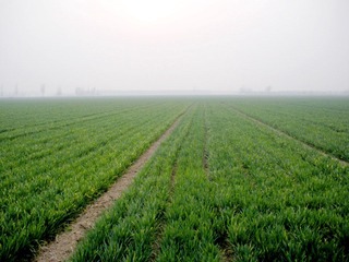 DSCN3099.JPG