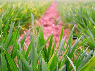 DSCN3104.JPG