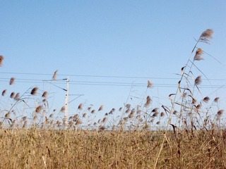 DSCN2489.JPG