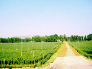 DSCN3436.JPG