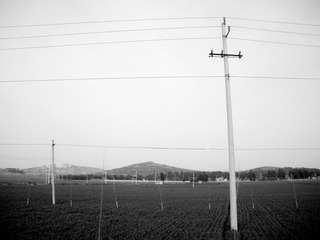 DSCN3445.JPG