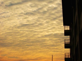 DSCN5234.JPG