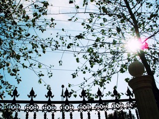 DSCN5093.JPG