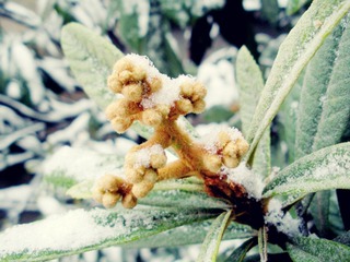 DSCN5513.JPG