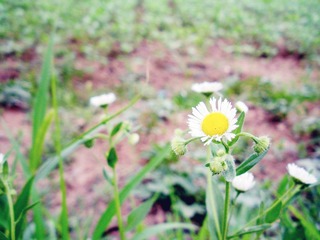 DSCN0524.JPG