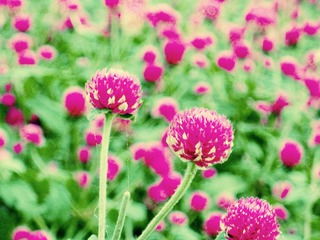 DSCN1110.JPG