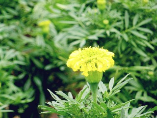 DSCN1145.JPG