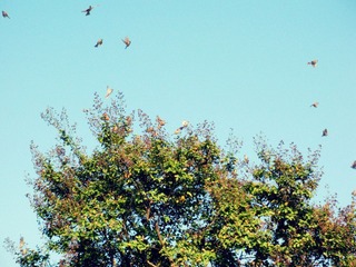 DSCN5216.JPG