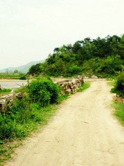 DSCN6585.JPG