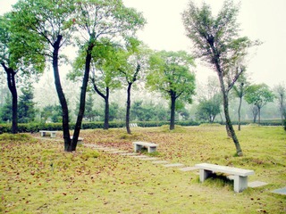 DSCN4964.JPG
