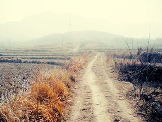 DSCN9472.JPG