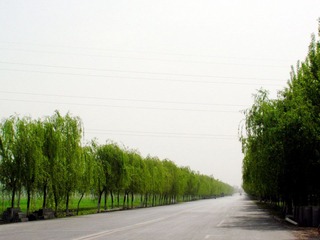 DSCN9924.JPG