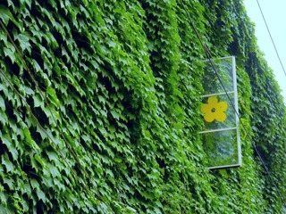 DSCN3627.JPG