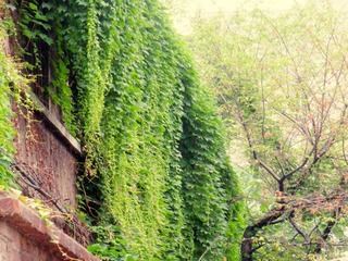DSCN3636.JPG