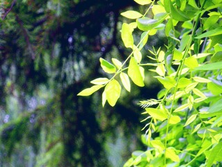 DSCN3639.JPG