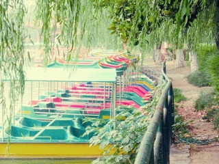 DSCN3689.JPG