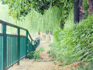 DSCN3695.JPG