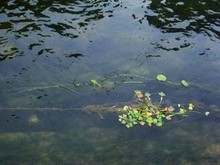 DSCN3772.JPG