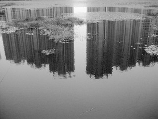 DSCN3754.JPG