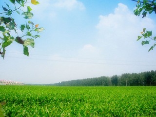 DSCN3811.JPG