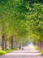 DSCN3817.JPG