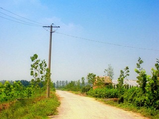 DSCN3823.JPG