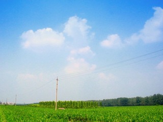 DSCN3828.JPG