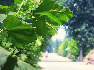 DSCN3831.JPG