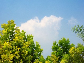 DSCN3833.JPG