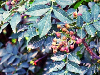 DSCN3835.JPG