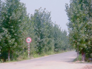 DSCN3839.JPG