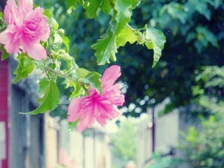 DSCN3856.JPG