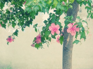 DSCN3858.JPG