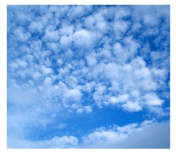 DSCN7091.JPG