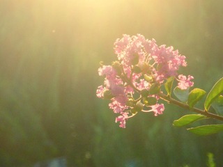 DSCN3910.JPG