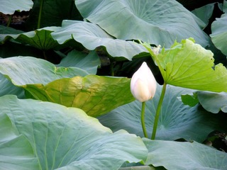 DSCN3892.JPG