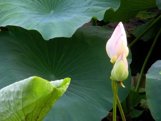 DSCN3895.JPG