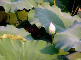 DSCN3900.JPG