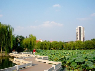 DSCN3904.JPG