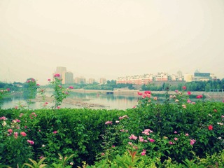 DSCN4342.JPG
