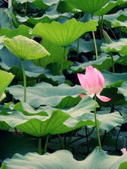 DSCN4355.JPG