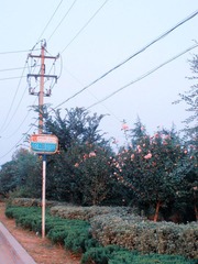 DSCN4512.JPG