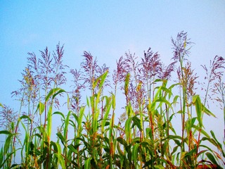 DSCN4479.JPG