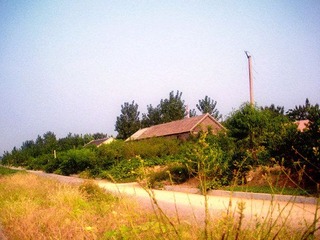 DSCN4486.JPG