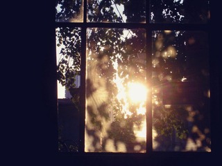DSCN4582.JPG