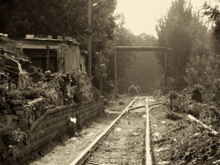 DSCN4600.JPG
