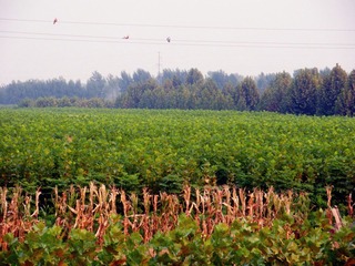 DSCN4721.JPG