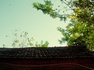 DSCN5267.JPG