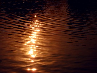 DSCN5523.JPG